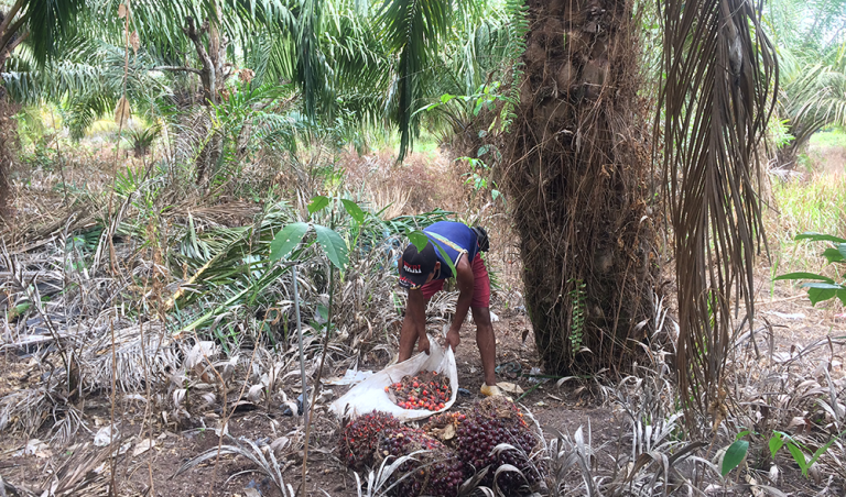 Indonesia turns focus to energy security and renewables amid pandemic