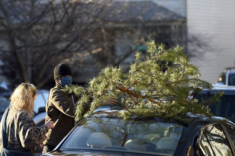 ‘Charlie Brown’ Christmas trees lift school, spirits