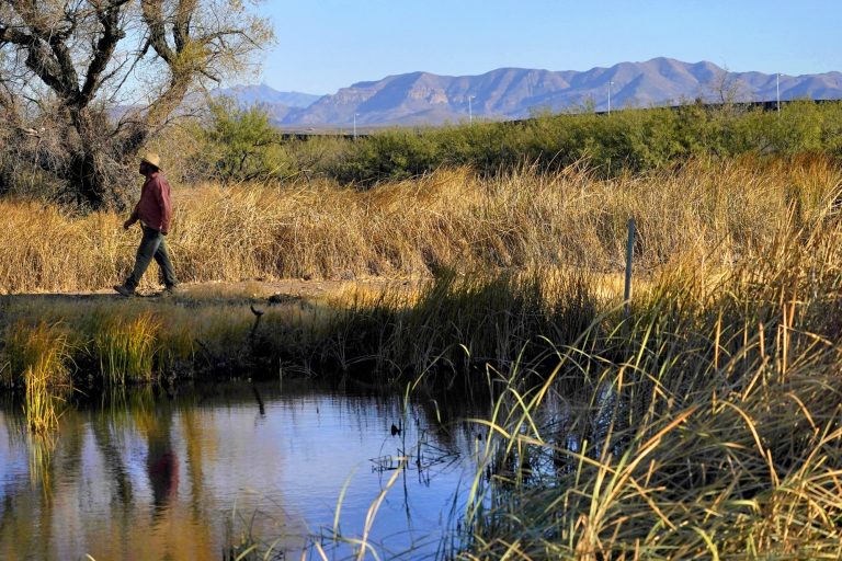 Damage from border wall: blown-up mountains, toppled cactus