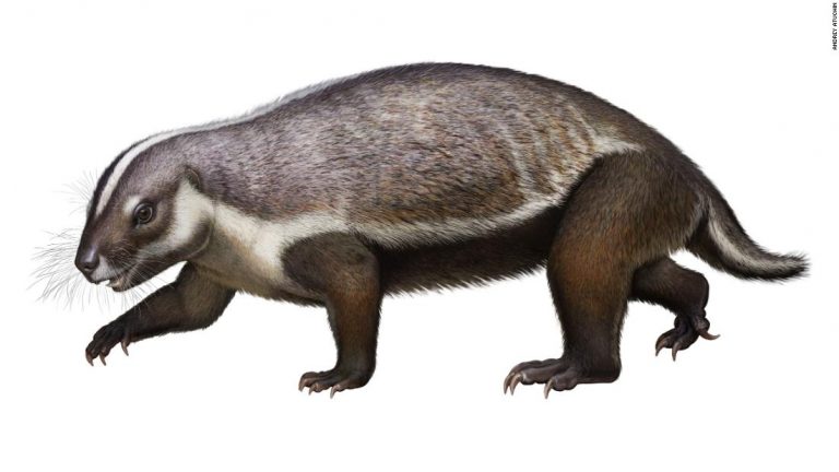 This ‘crazy beast’ was a weird early mammal that lived among dinosaurs