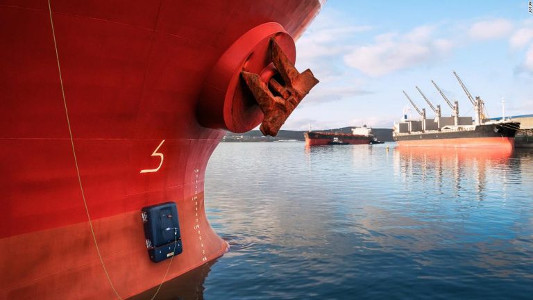 The robot that could help make the shipping industry greener