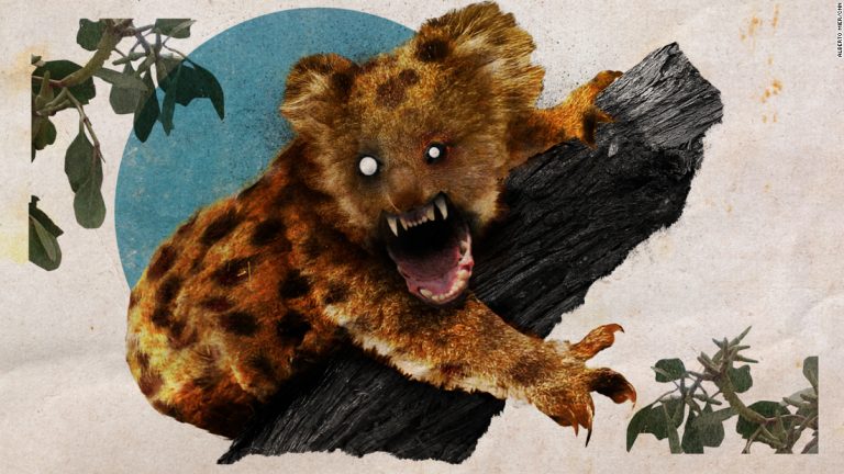 The true and unadulterated history of the drop bear, Australia’s most deadly — and most fake — predator