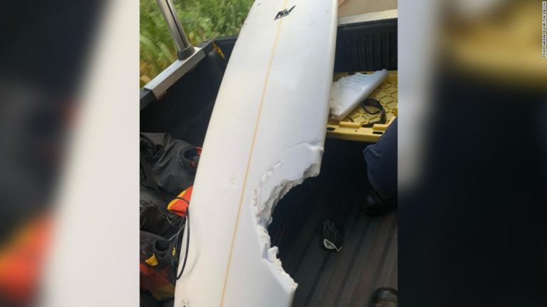 A surfer was attacked and killed by a shark in Hawaii, forcing the suspension of a surfing competition