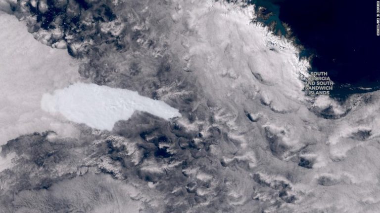 One of the largest icebergs could endanger an island’s wildlife