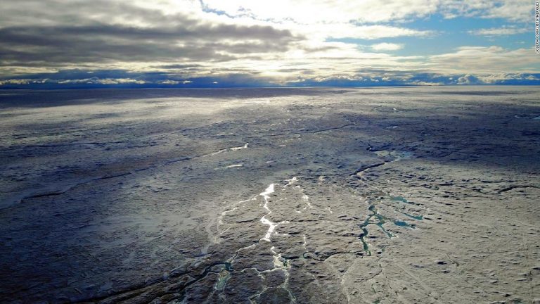 A ‘frozen rainforest’ of microscopic life is melting Greenland’s ice sheet