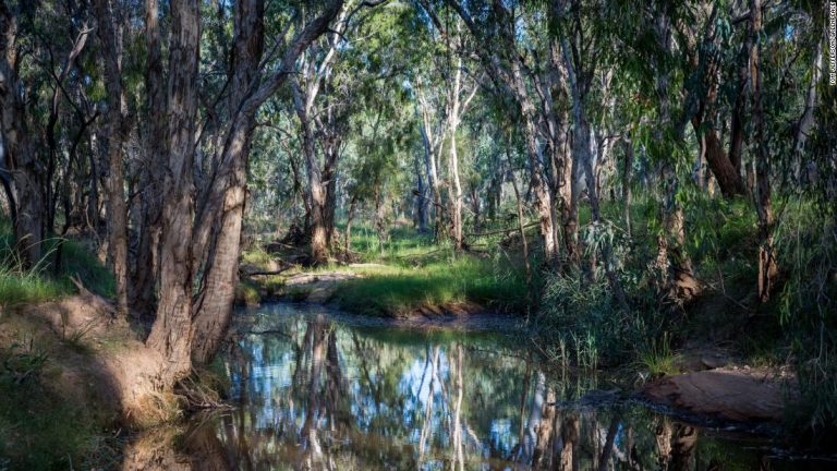Australia is the last Western hold out on the climate crisis. But some states and businesses are calling for change