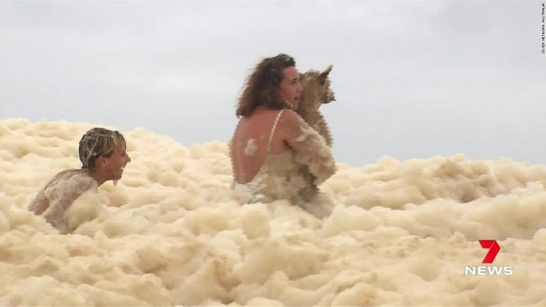 Woman loses dog under massive amounts of sea foam