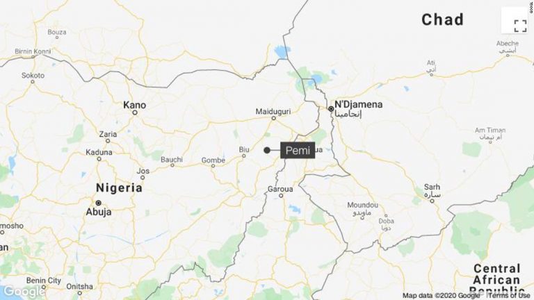 Boko Haram kills at least seven in Christmas Eve attack in Nigeria, local official says