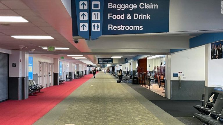 More than half a million people flew in America on Christmas Day