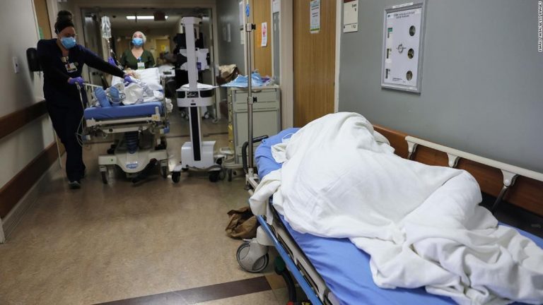 6 states facing record coronavirus hospitalizations