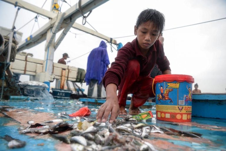 WTO fails to agree rules to cut overfishing by year-end deadline