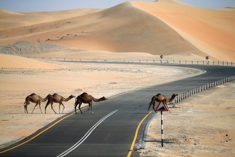 Abu Dhabi secures funding to build world’s largest solar power plant