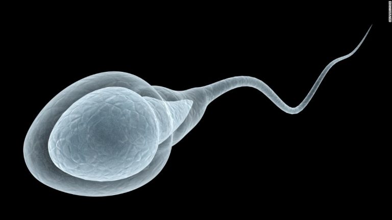 Does Covid-19 impact male fertility? Experts urge caution about new evidence
