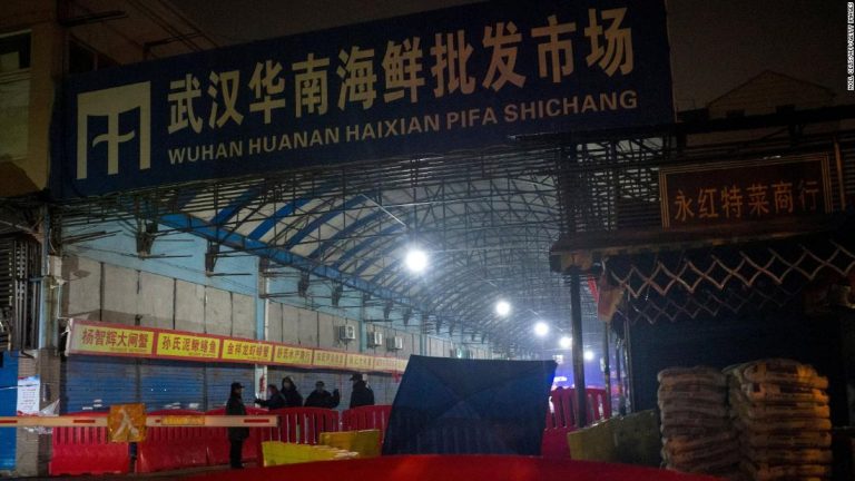 WHO team visits Wuhan market during investigation into Covid-19 origin
