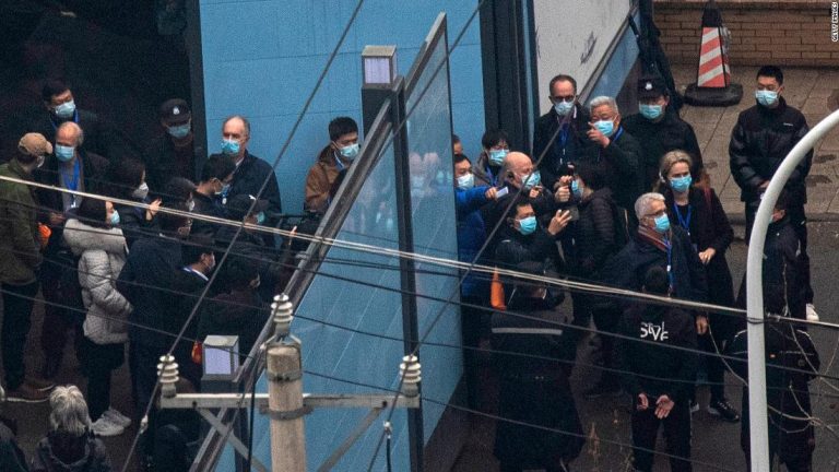 WHO team investigating pandemic visits wet market, receives flu data