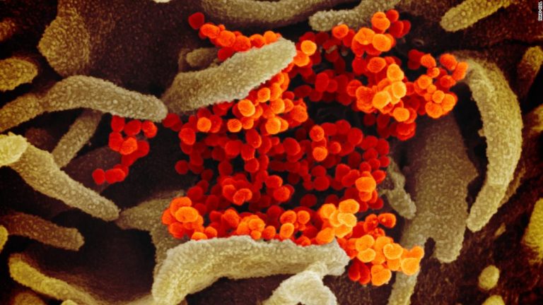 US coronavirus cases plateau after weeks of sharp declines