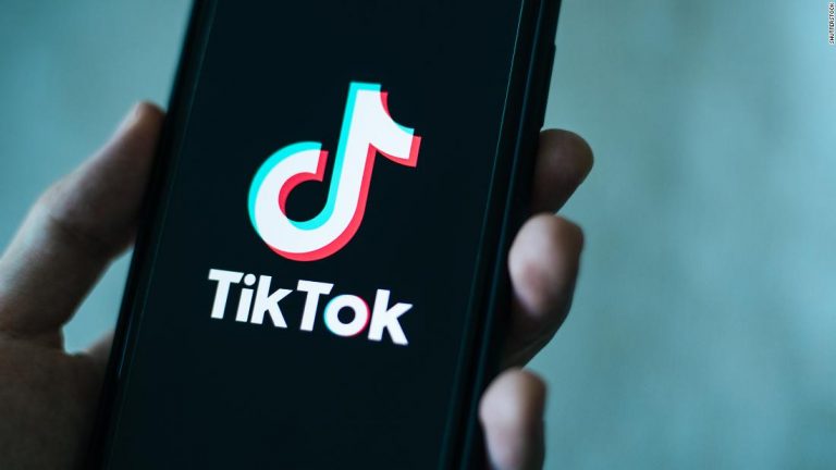Biden administration seeks a pause on TikTok court fight