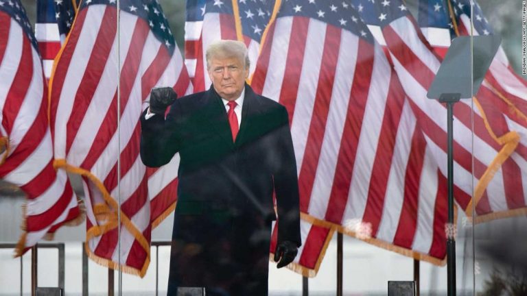 Leading House Democrat sues Trump for conspiracy to incite US Capitol riot