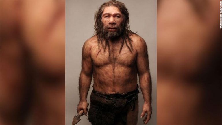 Prehistoric teeth hint at Stone Age sex with Neanderthals
