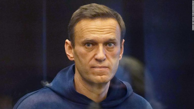 Navalny ridicules claims he failed to contact authorities while in a coma