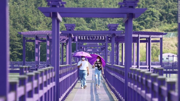 This all-purple island is a photographer’s dream