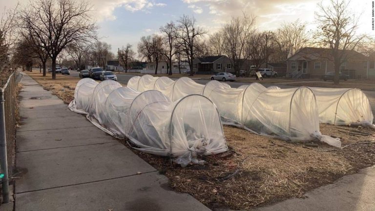 Man invites homeless people to live in his front yard