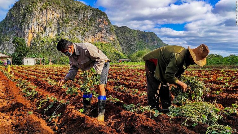 After a long wait, Cuba opens the door to more capitalism