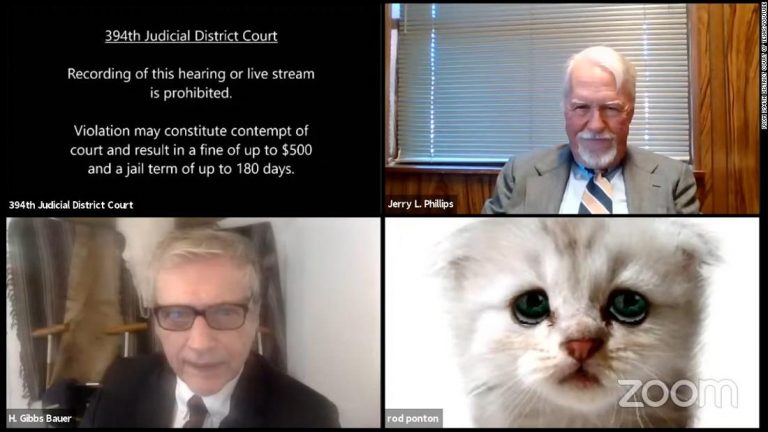 Lawyer tells judge ‘I’m not a cat’ after a Zoom filter mishap in virtual court hearing