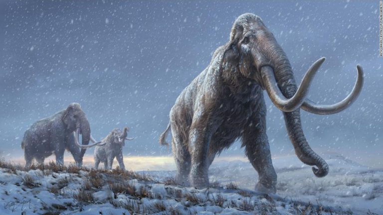 Oldest DNA sequenced from mammoth that lived more than a million years ago
