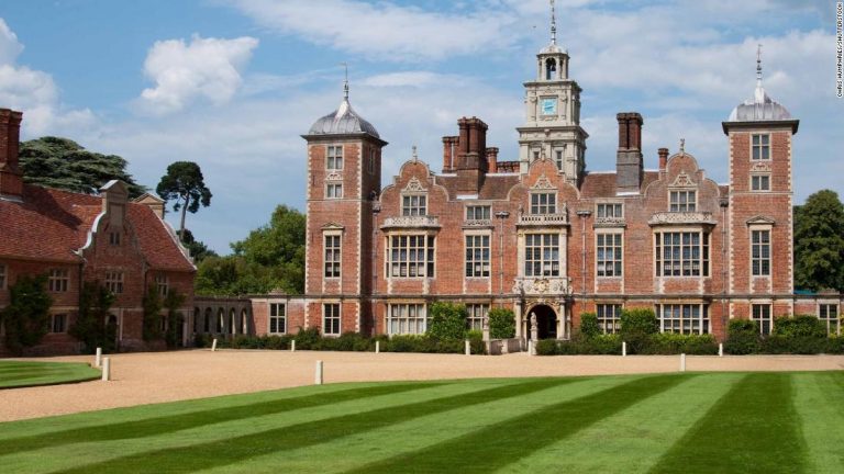 An army of parasitic wasps has been deployed to battle moths inside a British stately home