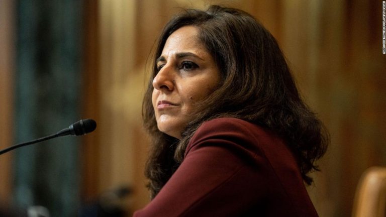 Why hasn’t Biden given up on Neera Tanden yet?
