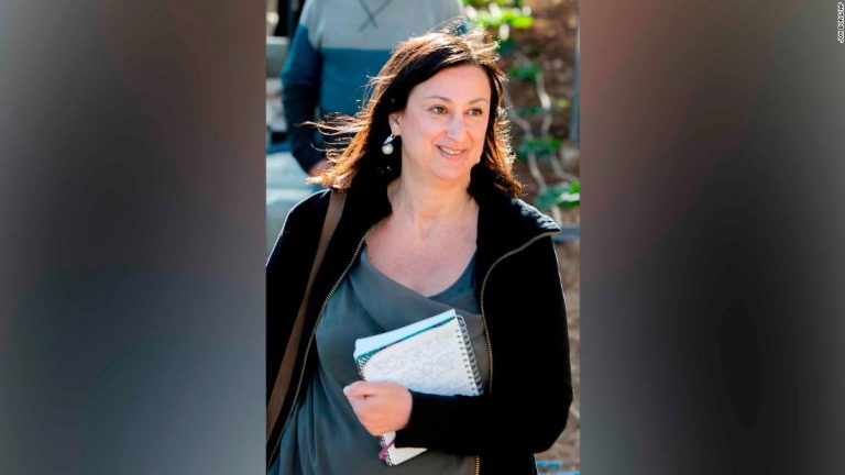 Suspect in murder of Maltese journalist pleads guilty
