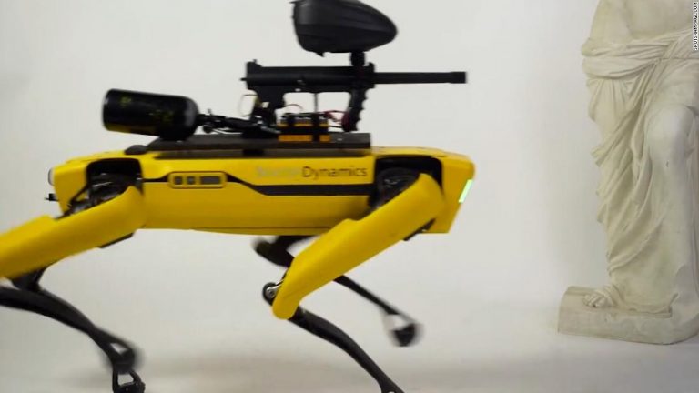 Internet group mounts paintball gun on robot dog