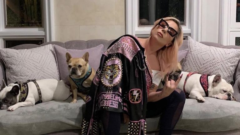 Lady Gaga’s dad speaks out following ‘appalling’ attack against dog walker