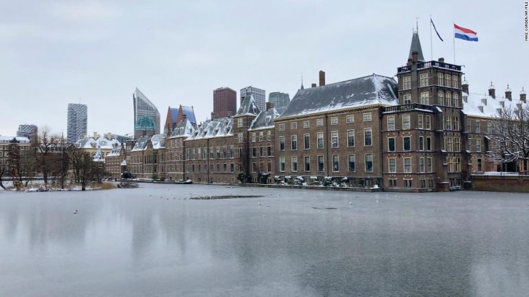 Dutch parliament becomes second in a week to accuse China of genocide in Xinjiang
