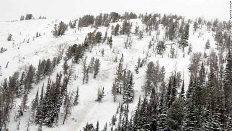 Experts say Covid-19 could also be to blame for avalanche deaths. Seriously.