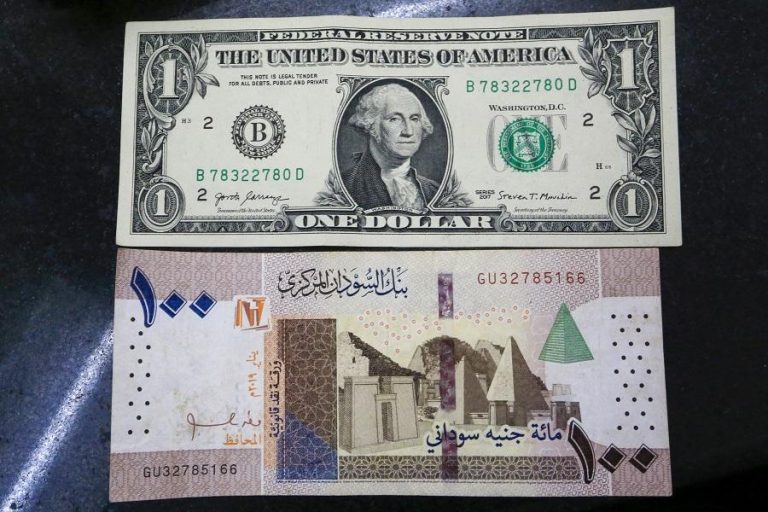 Black market trade slows as Sudanese try banks after devaluation