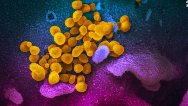 The latest on the pandemic