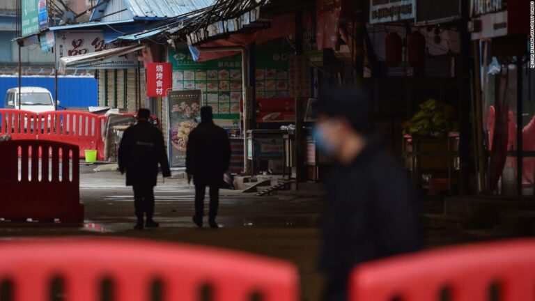 Wildlife trade most likely pathway for coronavirus to arrive in Wuhan, WHO expert says