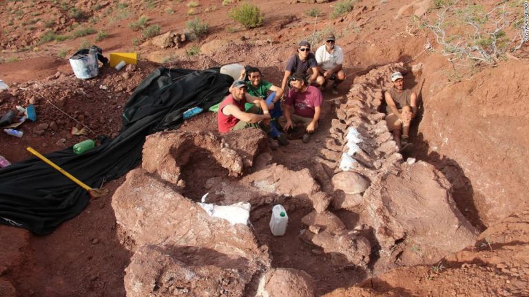 Fossils of huge Ninjatitan dinosaur that lived 140 million years ago found in Argentina