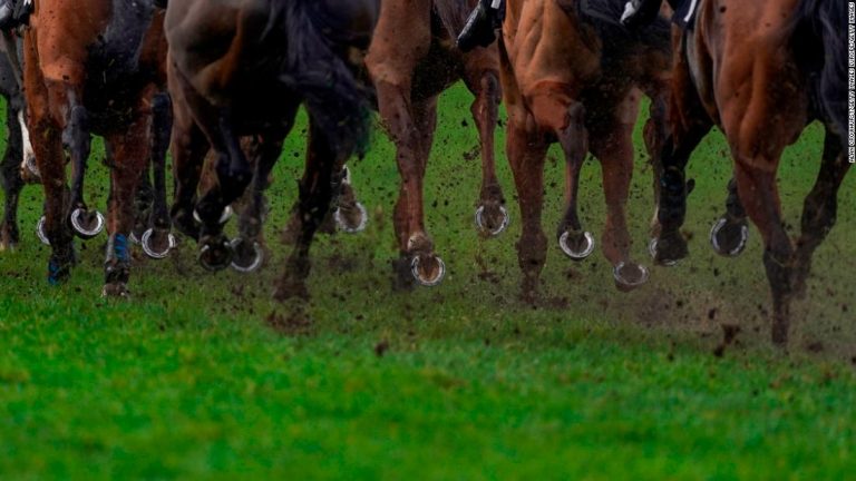 Horse racing faces new welfare scrutiny after more footage appears of a jockey posing on a dead horse