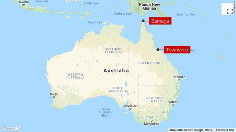 Teenager dies after being stung by a box jellyfish in Australia