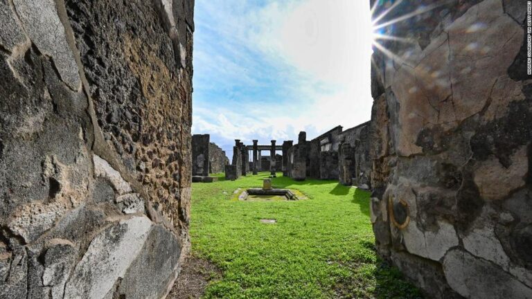 The race against time to save Pompeii