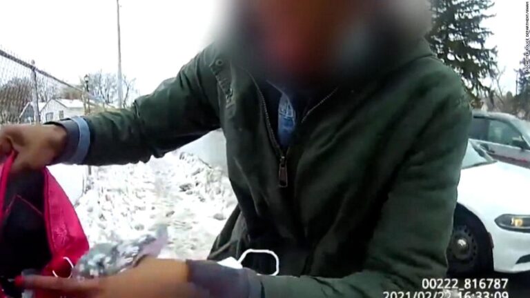 Black mother pepper-sprayed in front of her toddler, police say