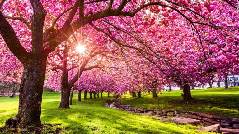 Spring, the most inspiring of the seasons (this year especially)