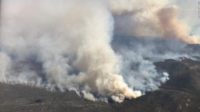 Australia’s wildfires released as much smoke as a massive volcanic eruption, study finds