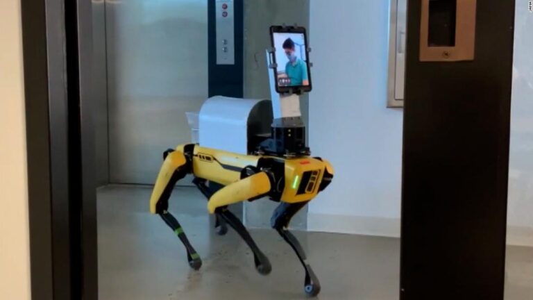Robotic dog works wonders in ER in age of Covid-19