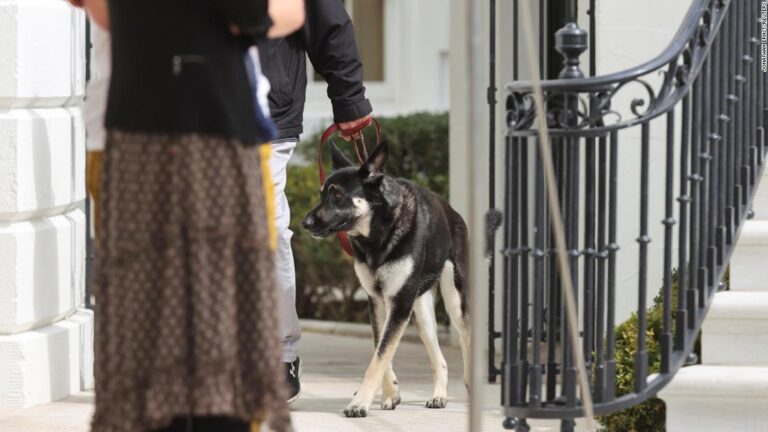 Bidens’ dog Major involved in another biting incident
