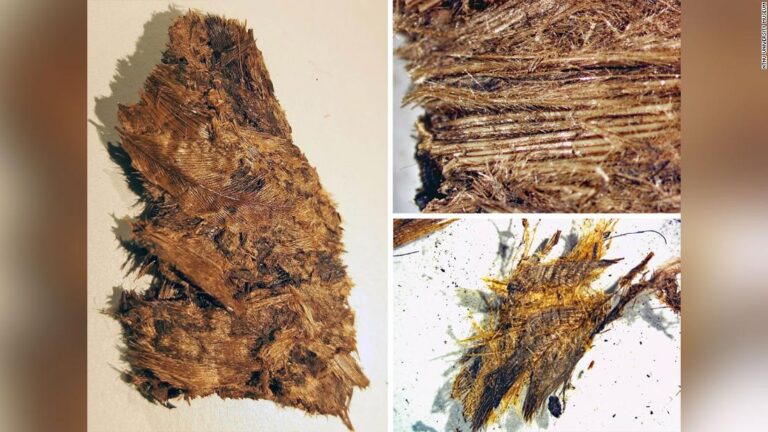 Iron Age warriors were buried with luxury feather bedding