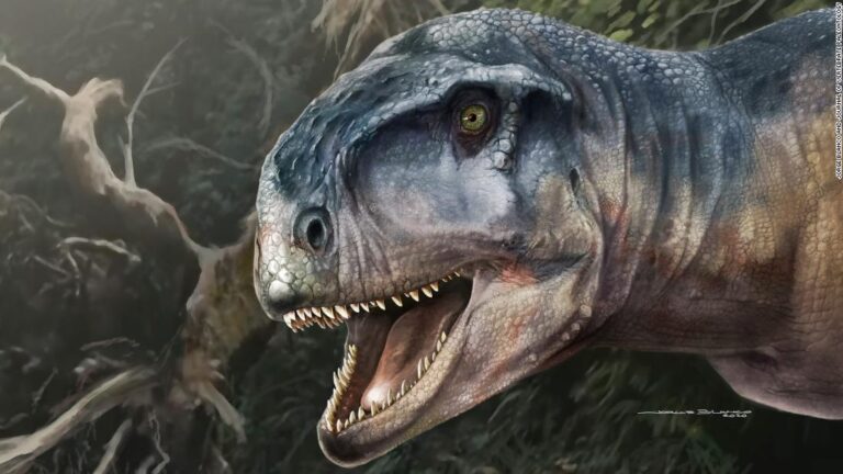 Newly discovered T. rex lookalike with an unusual skull terrorized Patagonia 80 million years ago